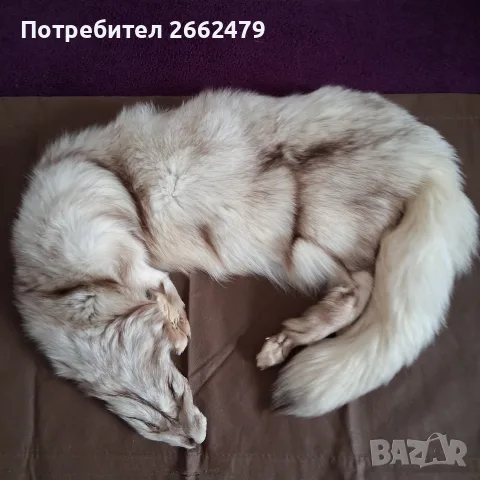 Продавам шапки., снимка 6 - Шапки - 56733001