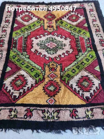 Вълнен дългокосмест китеник
