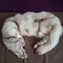 Продавам шапки., снимка 6