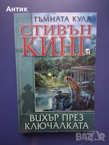 ЛОТ Книги от Поредицата Тъмната Кула Стивън Кинг, снимка 9 - Художествена литература - 56657754