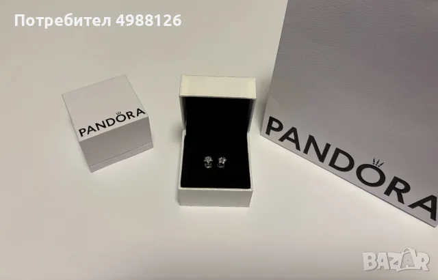 Pandora Обеци Мисля за теб
