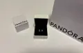 Pandora Обеци Мисля за теб, снимка 1