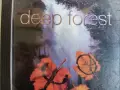 DEEP FOREST аудио дискове, снимка 1