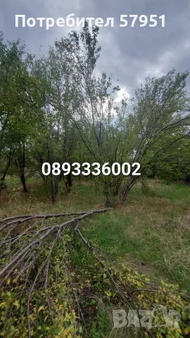 Къща с. Целина, обл. Ст. Загора, снимка 11 - Къщи - 56730255