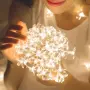 Многоцветни лампи  Led, снимка 3