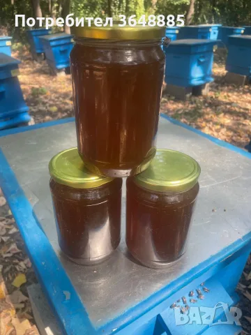 Натурален био-пчелен мед , снимка 9 - Пчелни продукти - 56711764