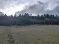 Земеделска земя, снимка 4