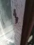 Реставраторски услуги, снимка 6