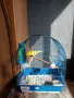 Канарче с клетка. , снимка 4