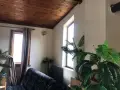 За    боядисване    .   , снимка 15