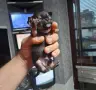 Родословни чихуахуа гр Варна , снимка 5