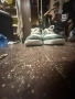 обувки nike dunks , снимка 3