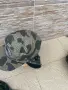 Воени ушанки вълнени , снимка 5