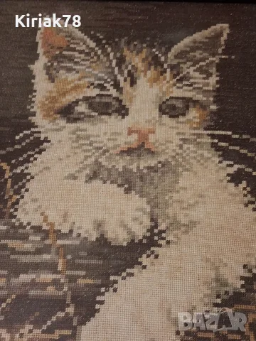 Гоблен "Коте" рамкиран, снимка 6 - Гоблени - 56584741
