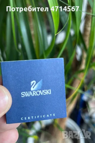 Обеци на Swarovski, снимка 6 - Обеци - 56748275