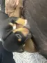 Malko porasnali bebceta🤍, снимка 6