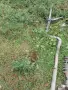 продам части за голф 4, снимка 2