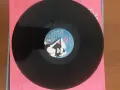 Scorpions savage amusement, снимка 3