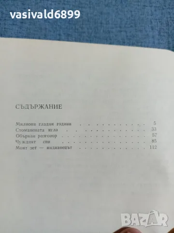 Иван Остриков - Стоманената игла , снимка 5 - Българска литература - 56710711