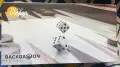 Biggdesign комплект за игра на табла, снимка 2