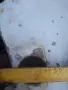 джанти за трактор щаер 28 цола, снимка 3