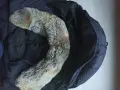 Дамско зимно яке Peuterey, снимка 4