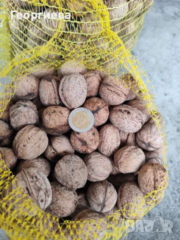 Продавам пресни орехи, снимка 2 - Домашни продукти - 56736756