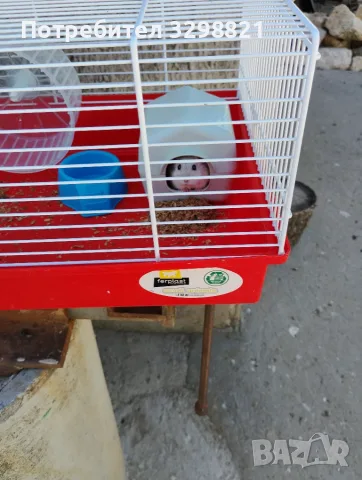 Minii Hamster.., снимка 2 - Хамстери - 56619321