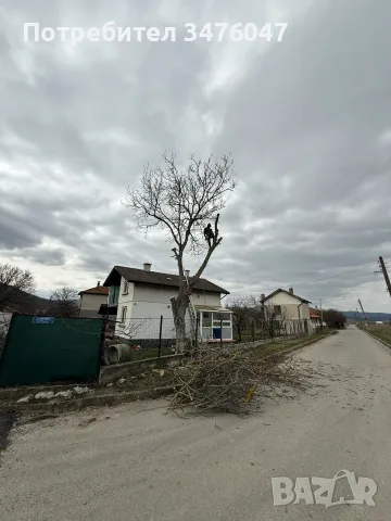 Почистване на запустели имоти и дворове 🌳 От джунгла до чист двор!