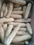 продавам бяла царевица , снимка 2