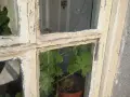 Реставраторски услуги, снимка 2