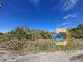 Парцел в село Целина, общ. Чирпан, снимка 1