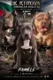 Американско були Хл American bully Xl , снимка 3