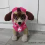 Скай от Пес Патрул, снимка 1
