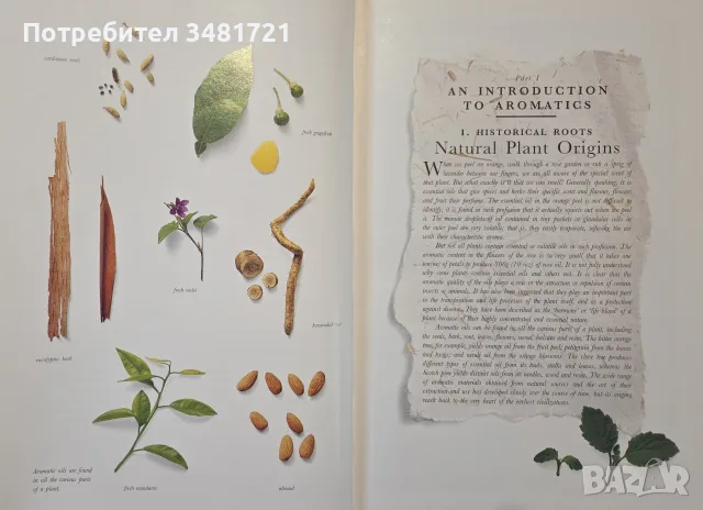 The Illustrated Encyclopedia of Essential Oils, снимка 3 - Здраве, медицина и спорт - 56715727