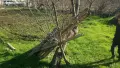 ВИЛА С ЛОЗЕ И ОВОШКИ, снимка 2
