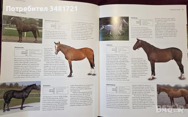 Encyclopedia of the Horse, снимка 10 - Други - 56715711