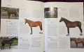 Encyclopedia of the Horse, снимка 10