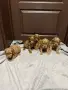 кавапу той пудел , снимка 5