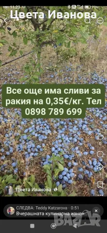 Сини сливи за ракия - 0,35 €/кг