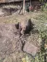 Услуги с мини багер, снимка 8