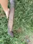 продам части за голф 4, снимка 1