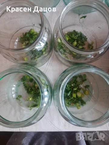 Цели домати в буркани , снимка 2 - Домашни продукти - 56729609