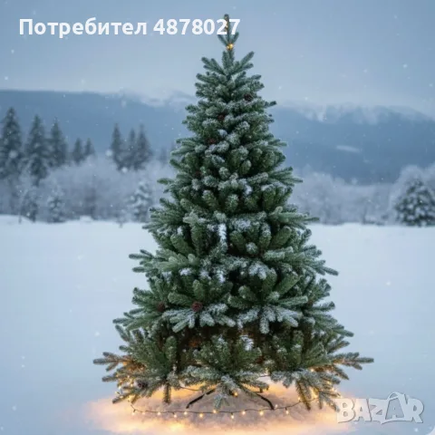 Красива коледна елха с естествено излъчване – празниците започват тук!