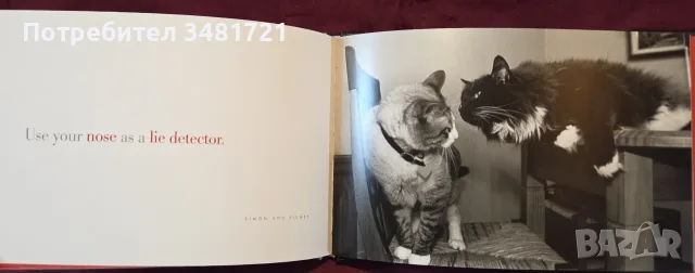 Cattitude Box Set, снимка 11 - Други - 56715704