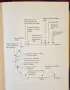 The Origin of Humankind, снимка 2