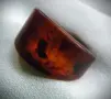 Пръстен от кехлибар, Бирма, снимка 2