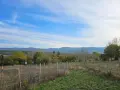 парцел 3 декара с. Къпиново, снимка 6