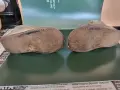 Кожени детски обувки Царство България , снимка 4