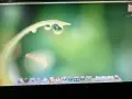 Apple PowerMac G5, снимка 16